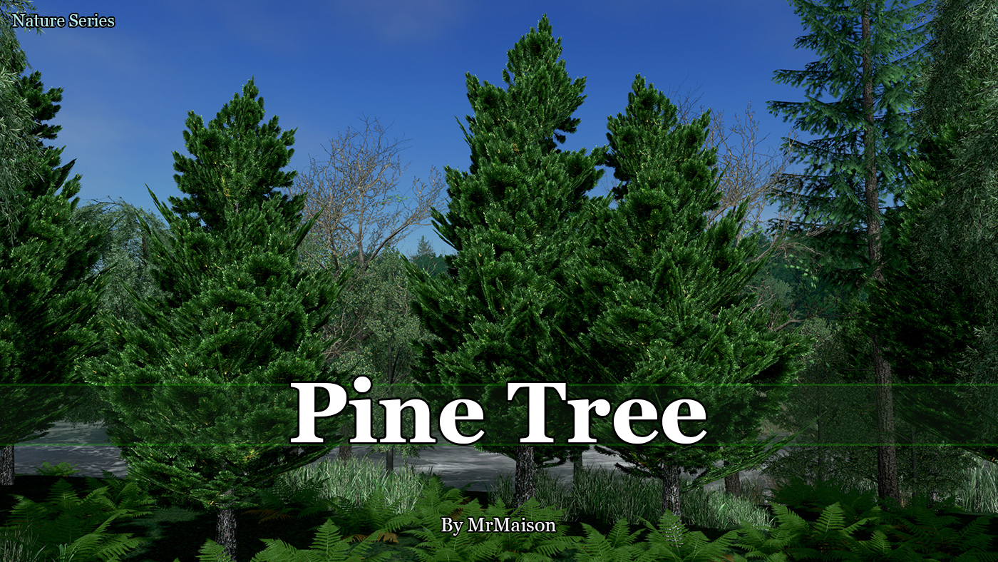 Pine Tree Promo.jpg